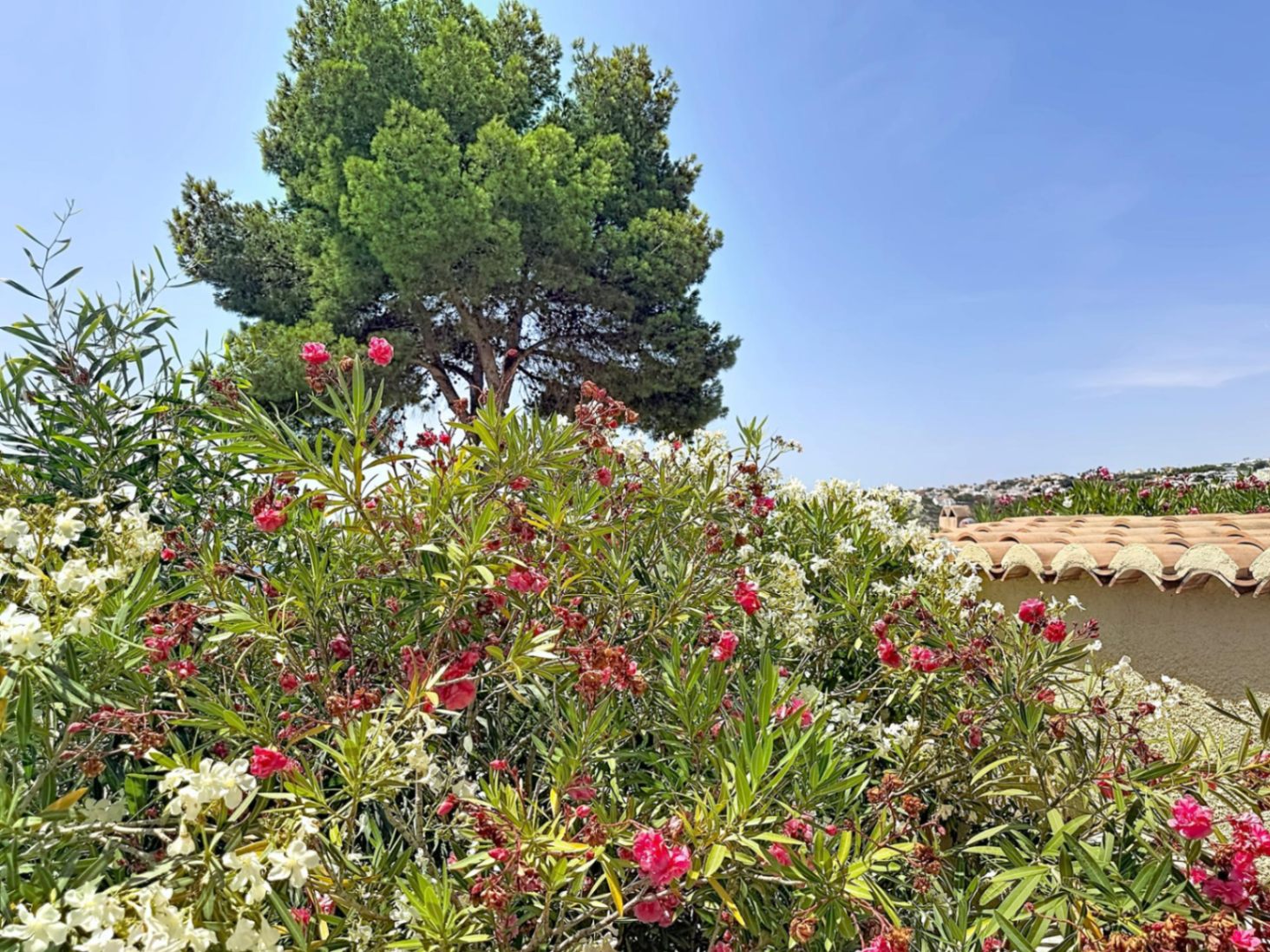 Adosado en Pueblo de la Luz, Cumbre del Sol, Costa Blanca Norte