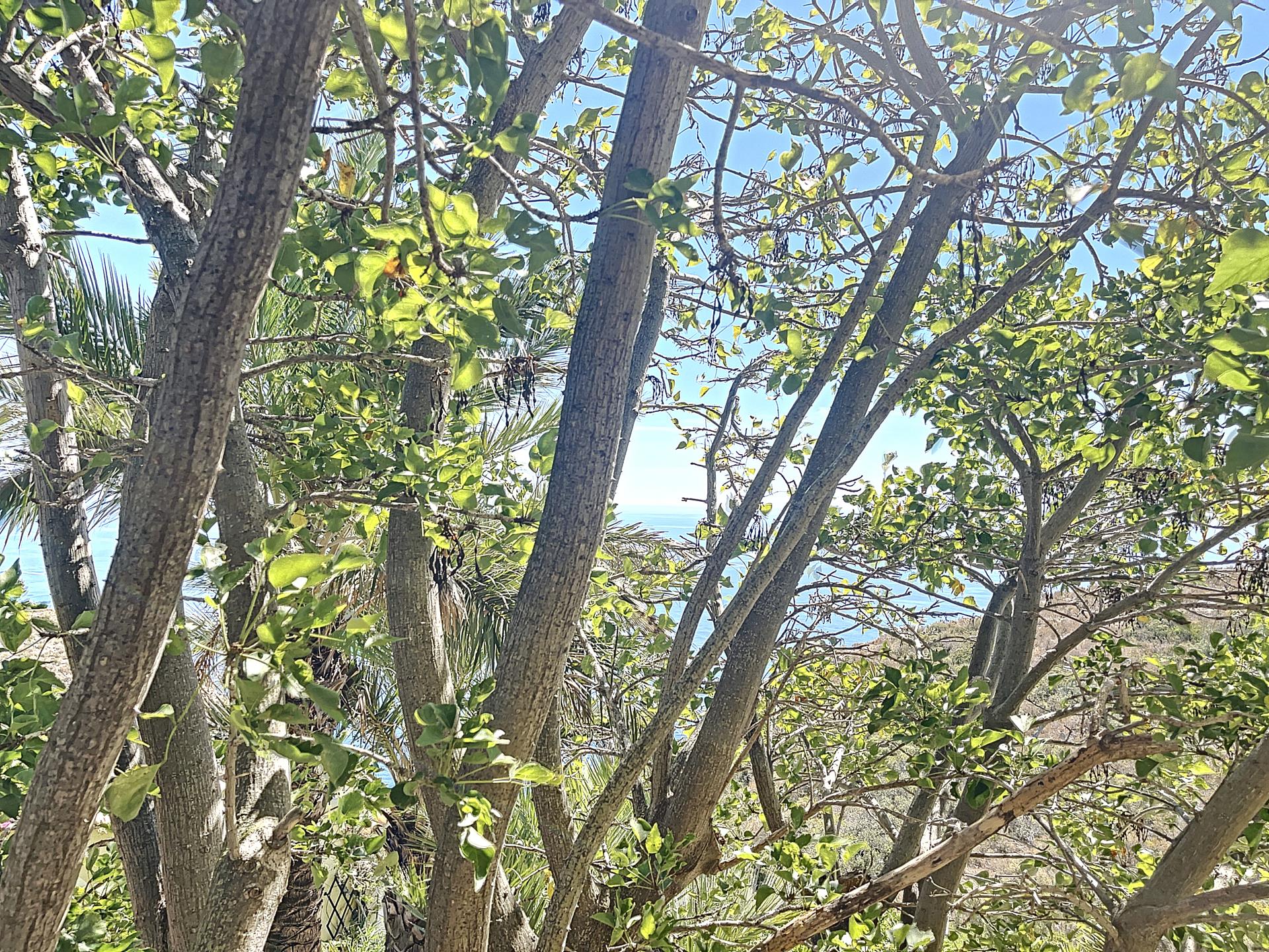 Villa en primera línea con vistas al mar